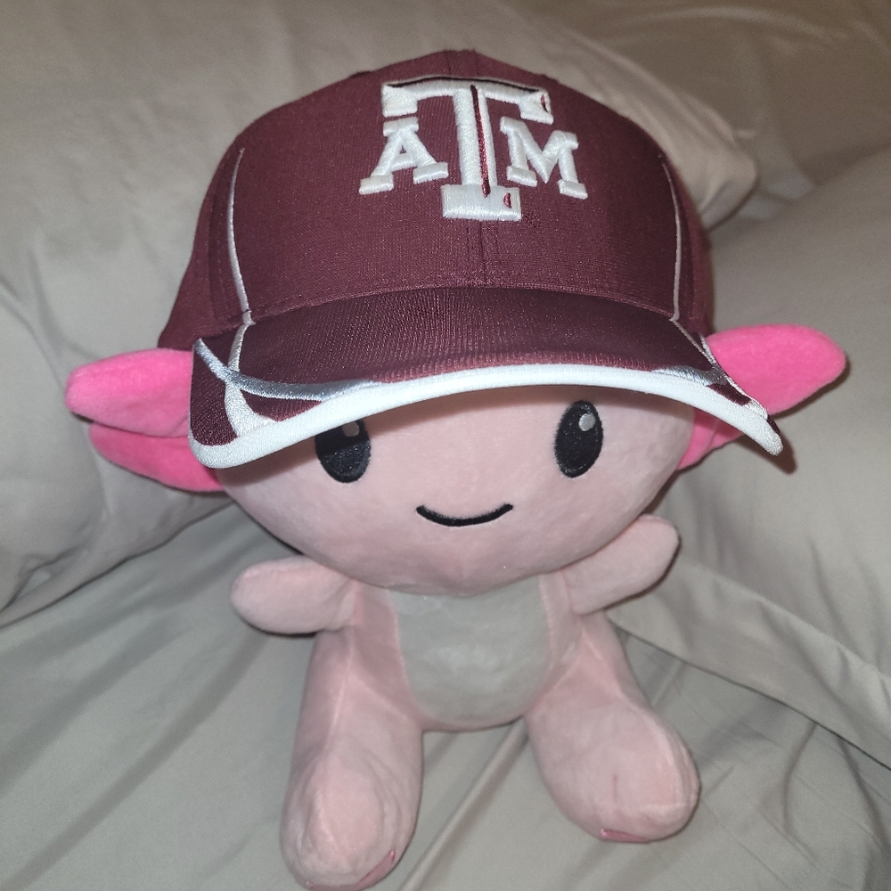 Texas A&M Hat - Picture 12 of 14